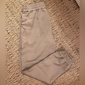 Aritzia Wilfred Pant